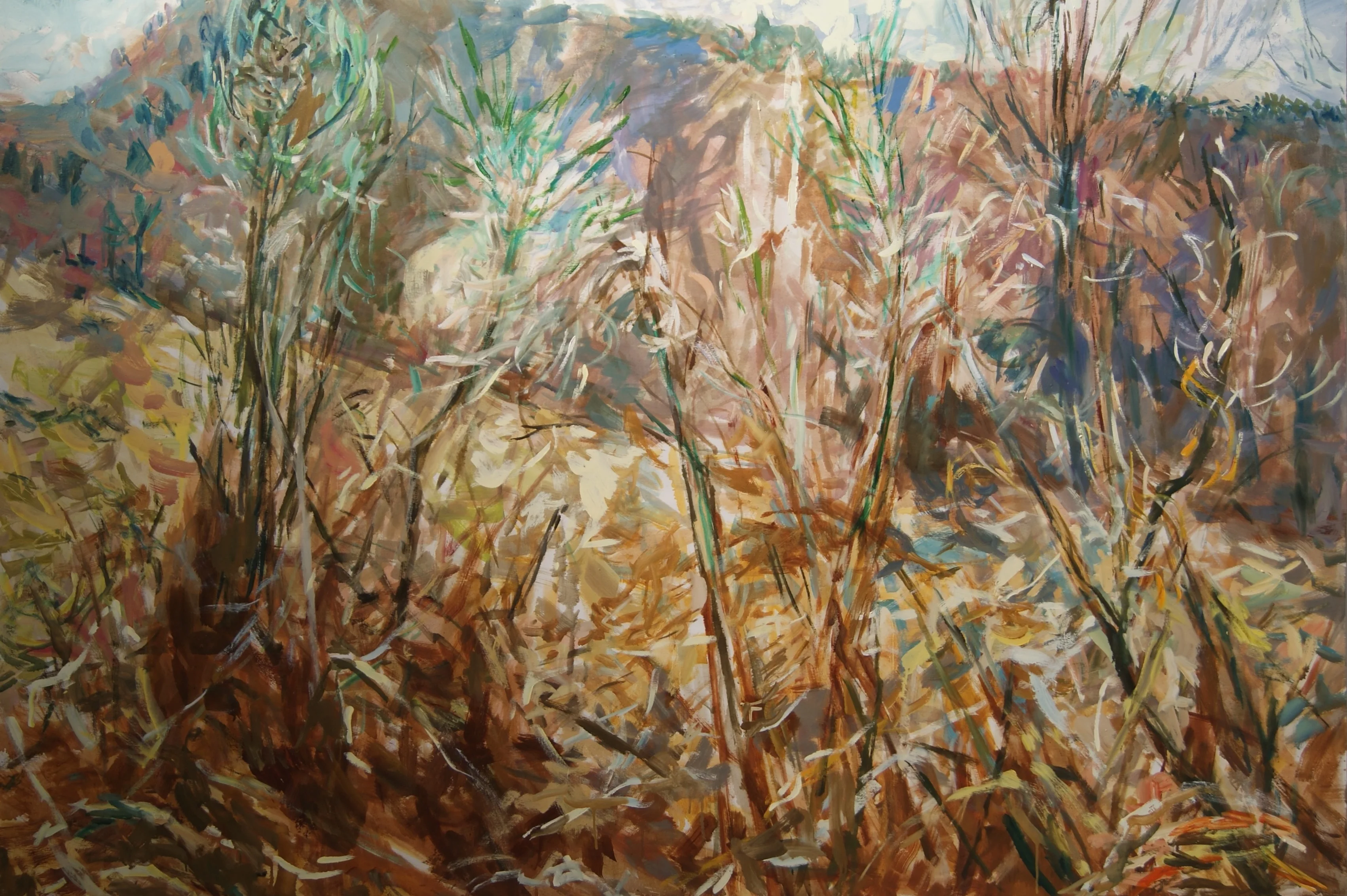 Winter Broom, March, 2023, 122 x 183cm